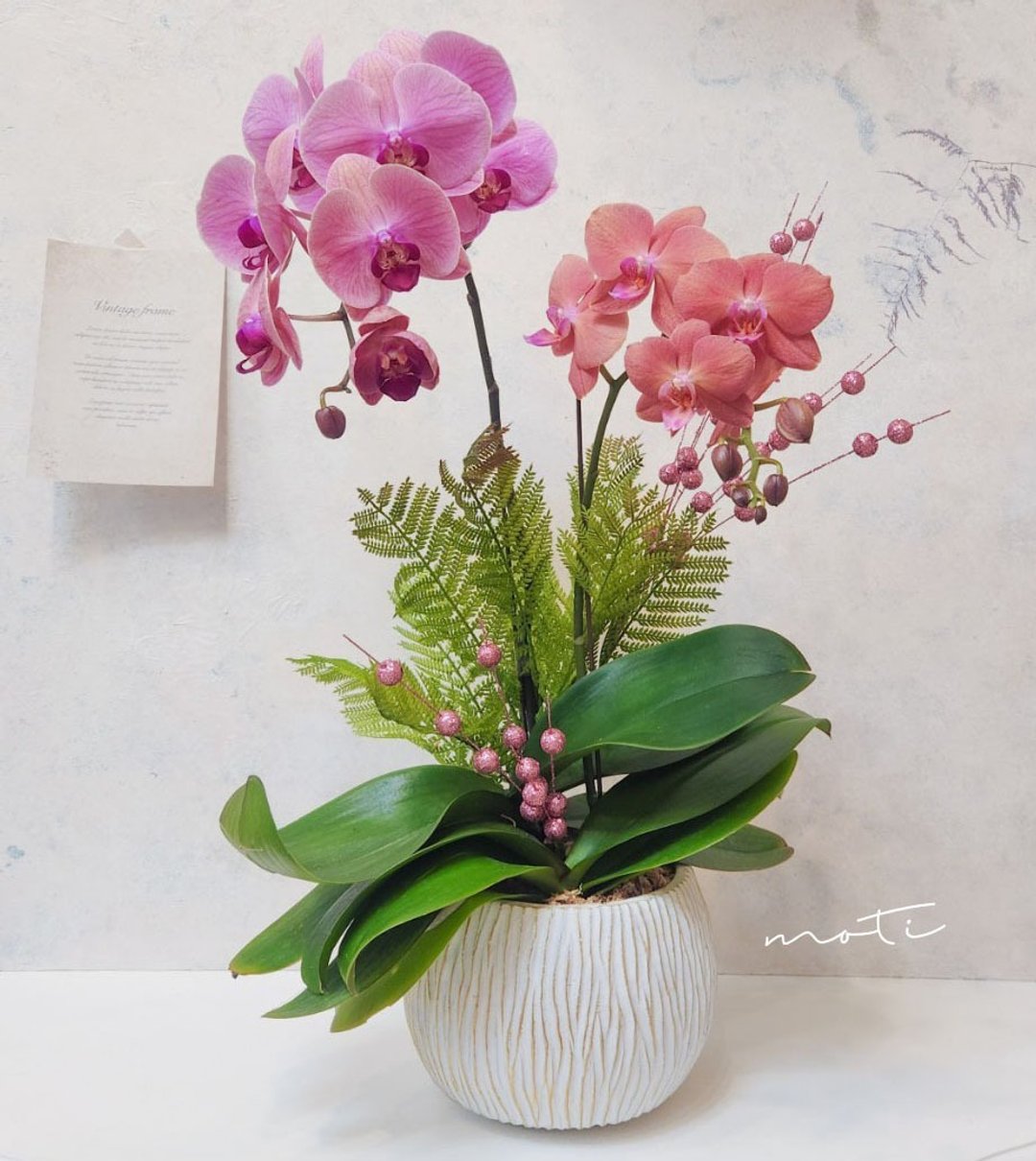 蝴蝶兰植栽【限店面自取/双北专送】新年送礼 开幕升迁 新居落成 - 植栽/盆栽 - 植物．花 粉红色