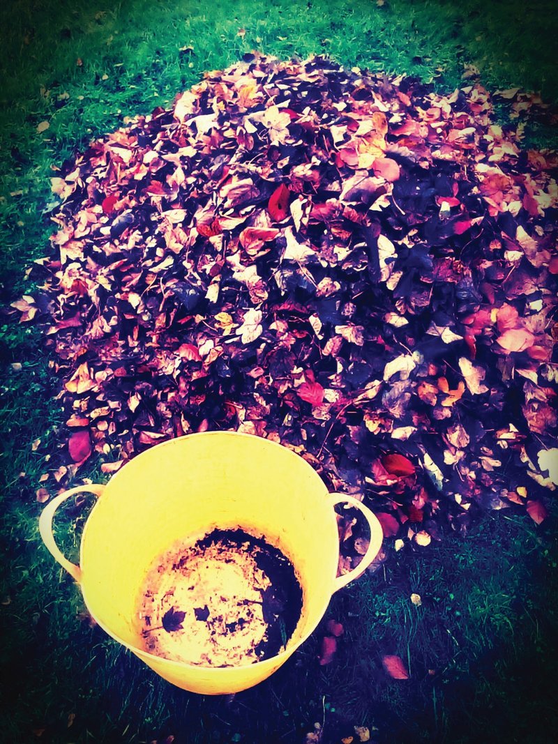 知秋│无酸相纸│英国制作│可自行裱褙│原作出清 - 海报/装饰画/版画 - 纸 紫色