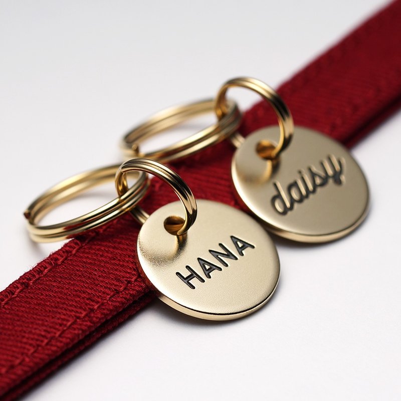 迷失猫牌 - 圆形 - [黄铜/黄铜] 猫名牌、铭牌、姓名牌、电话号码、双面雕刻、吊饰、钥匙圈 - 其他 - 铜/黄铜 金色