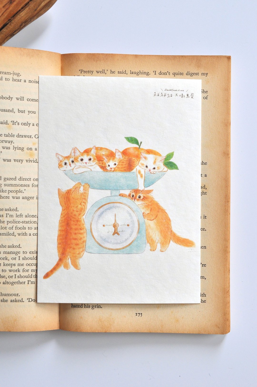 猫咪插画明信片-橘猫橘猫几斤重 - 卡片/明信片 - 纸 橘色