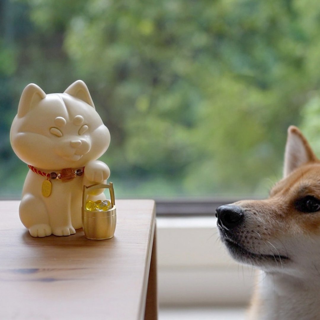 巨柴(聚财) 3XL号 | 柴犬摆饰 疗愈公仔 | 生日 情人节礼物 - 摆饰 - 水泥 多色