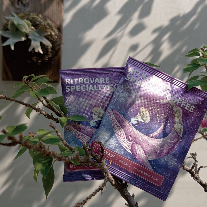 【寻品咖啡・两件 5 折】精品滤挂式咖啡 - 寻果派对 10 入盒 - 咖啡 - 新鲜食材 紫色