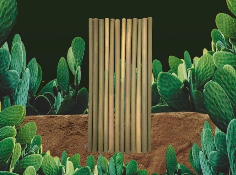 天然竹饮管 - 其他家具 - 竹 绿色