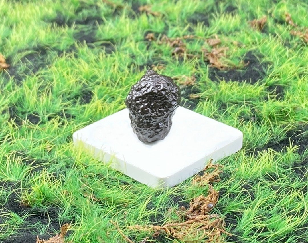 天然埃及预言石造型原矿 心灵平静石 平抚情绪 快速出货 - 摆饰 - 水晶 咖啡色