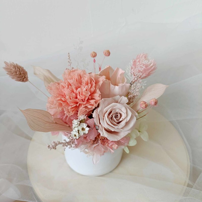 桃永生康乃馨盆花桌花|开幕店面展场居家布置七夕情人节花束中秋 - 植栽/盆栽 - 植物．花 