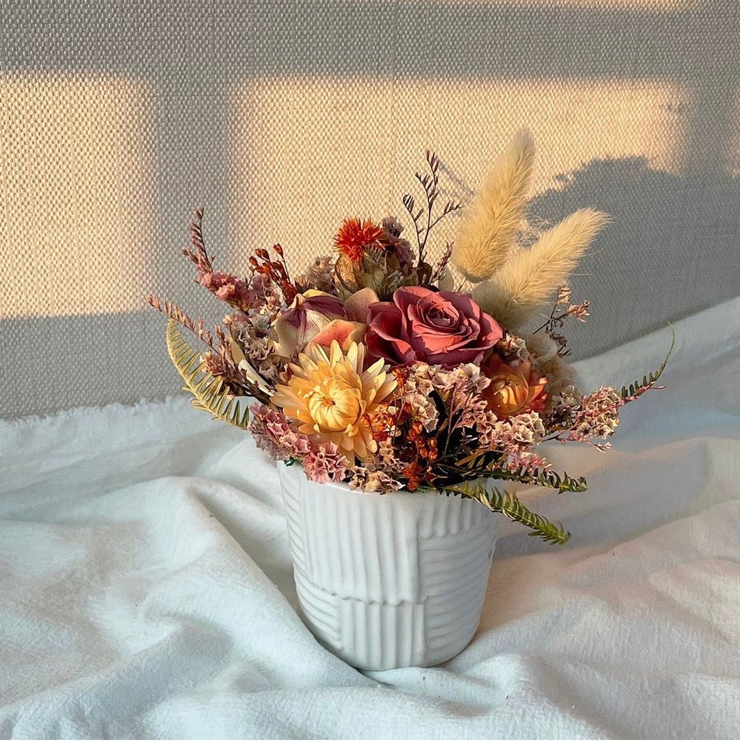永生小杯花 干燥小盆花 - 干燥花/捧花 - 植物．花 