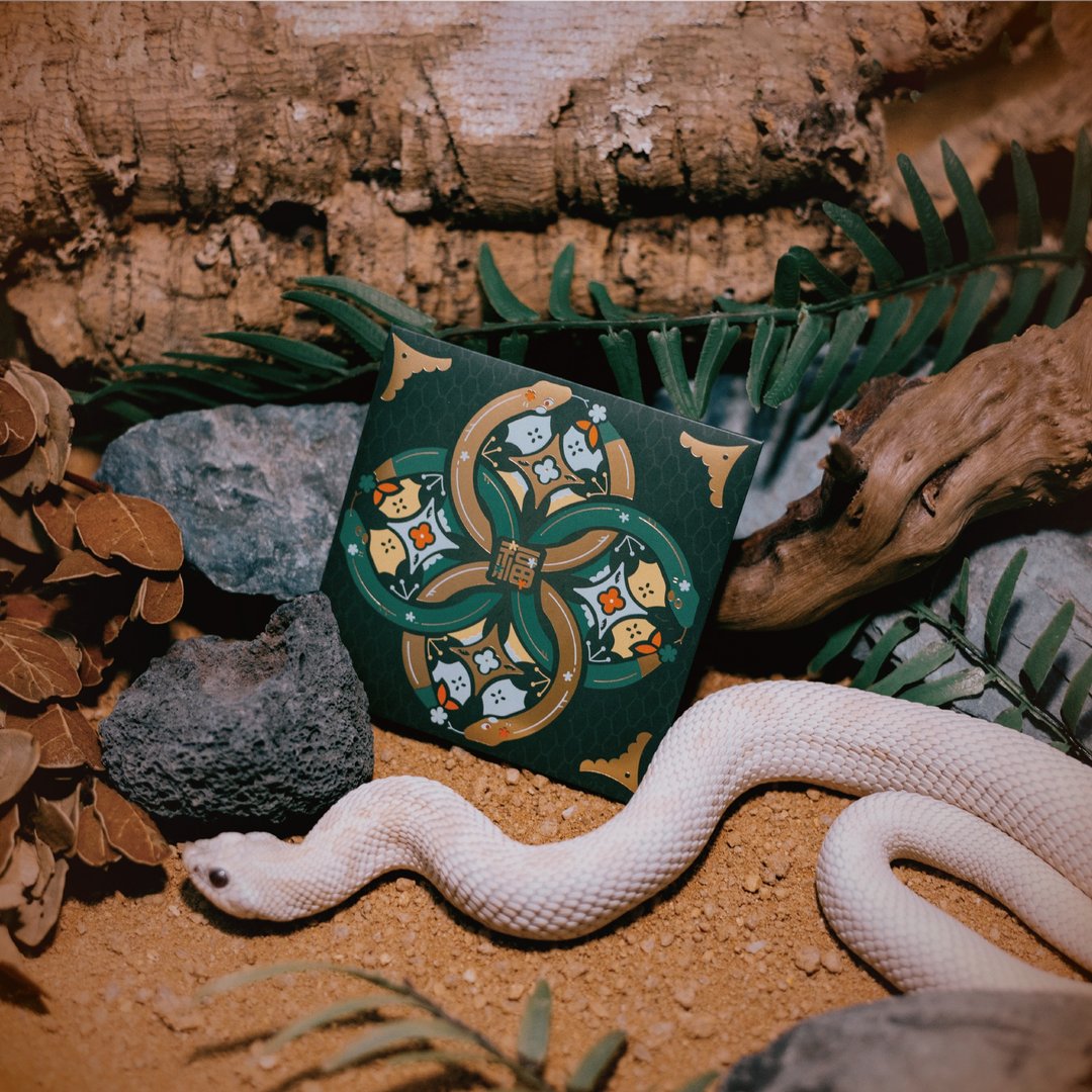 【利是封】蛇年限定 ll 福 l mystery green l 短 - 红包/春联 - 纸 绿色