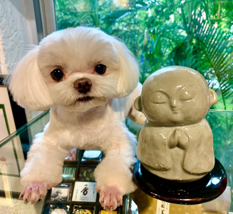 丽香炉  地藏【日本松荣堂 香炉系列】 - 香薰/精油/线香 - 瓷 