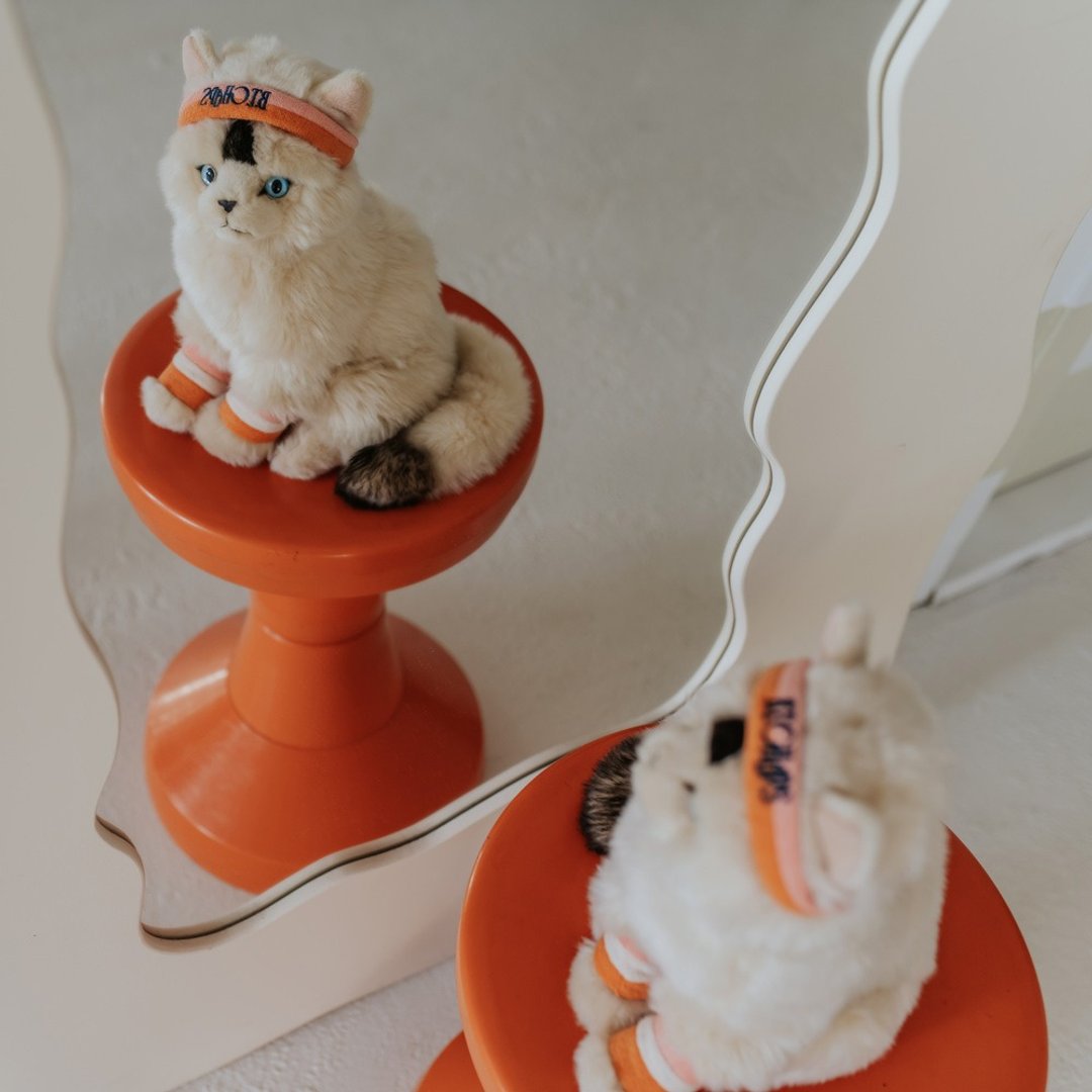 24H 出货 布偶猫玩偶 - 多莉 32cm - 玩偶/公仔 - 其他人造纤维 多色