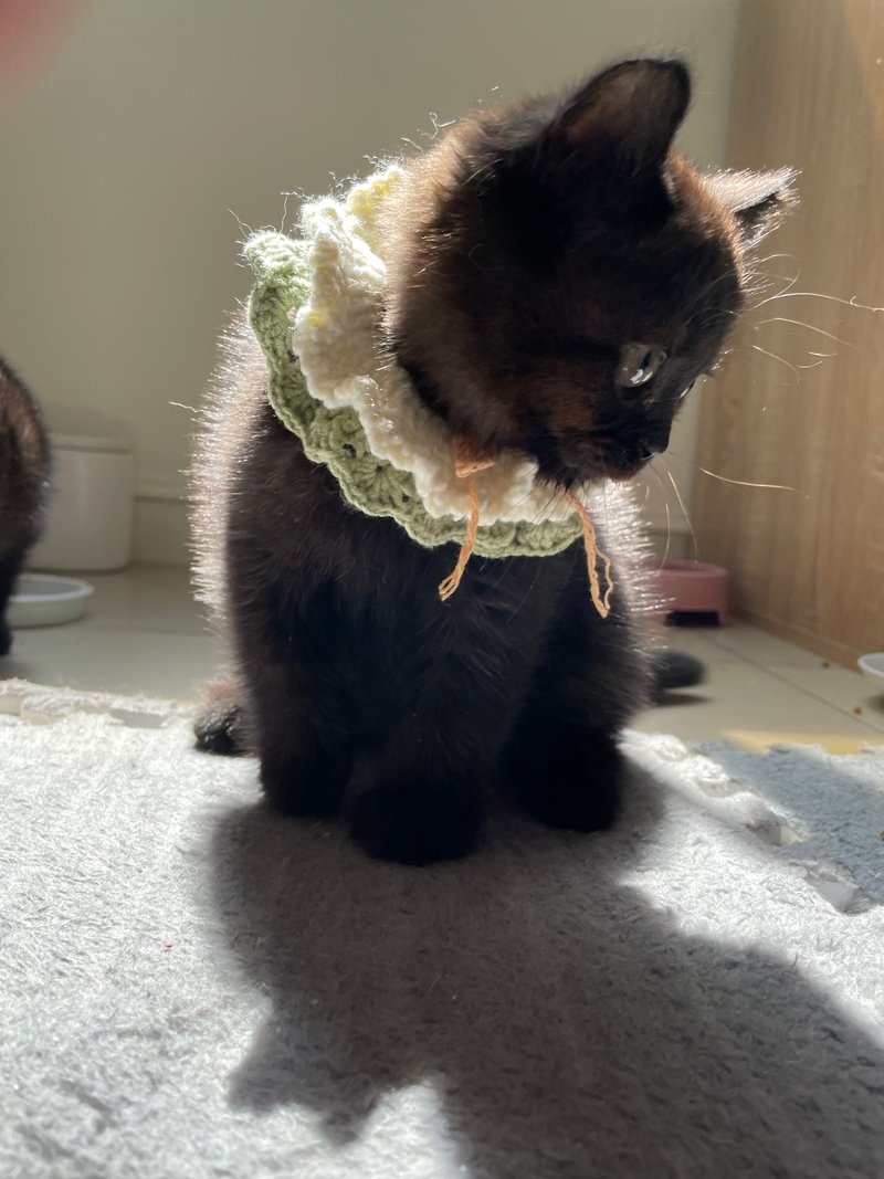 手工毛线编织 /宠物针织项圈兜兜领巾口水巾 - 项圈/牵绳 - 棉．麻 绿色