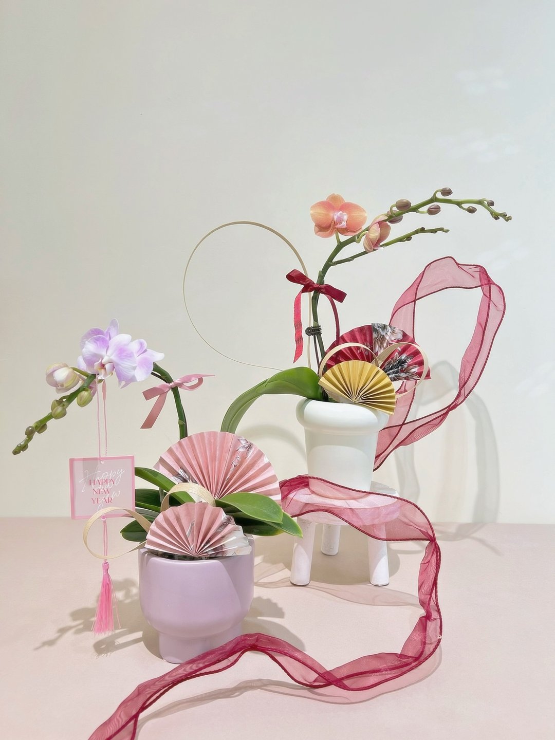 贺年兰花室内盆栽 • Serene Orchid Blessings - 植栽/盆栽 - 植物．花 