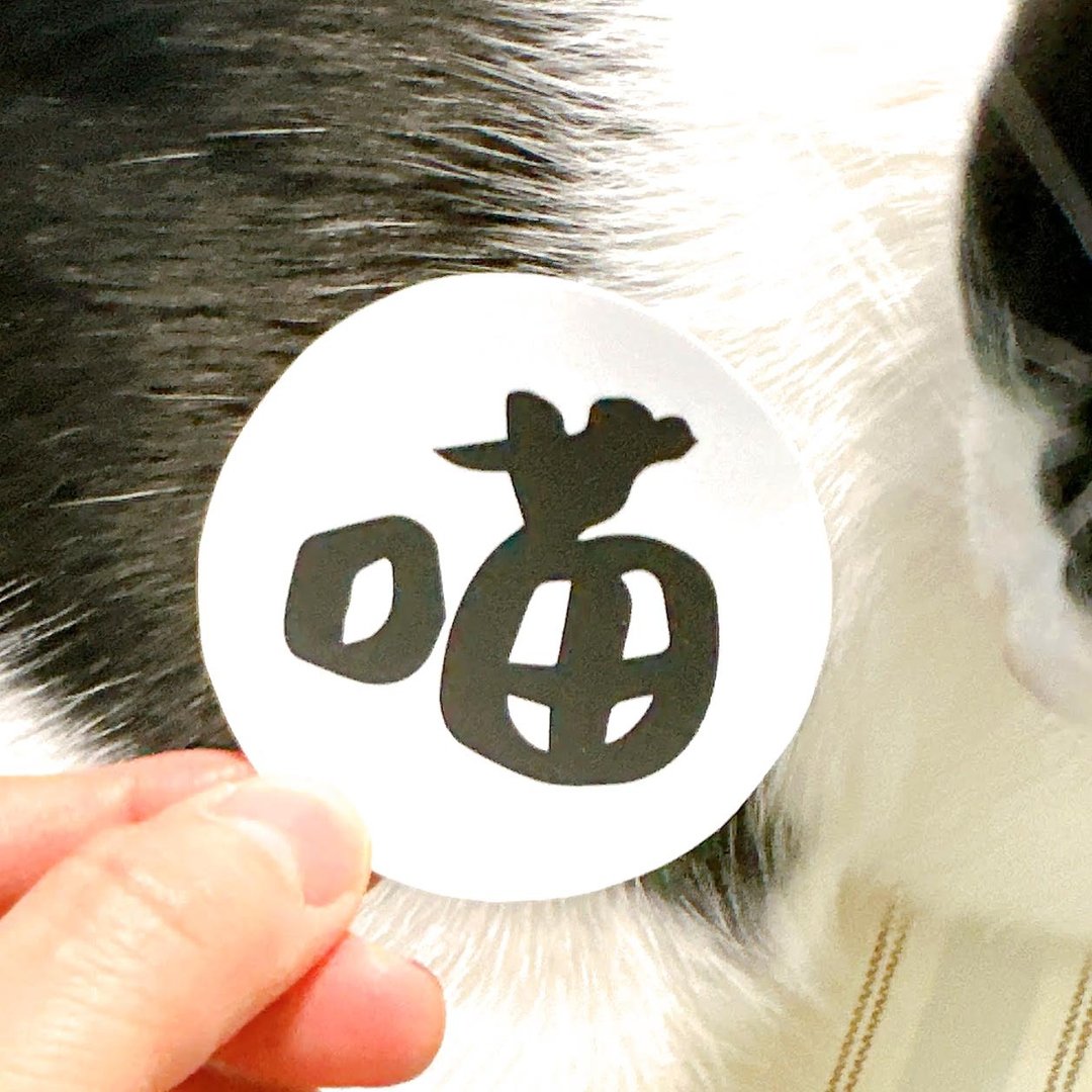 喵 防水贴纸  Meow Waterproof stickers - 贴纸 - 防水材质 黑色