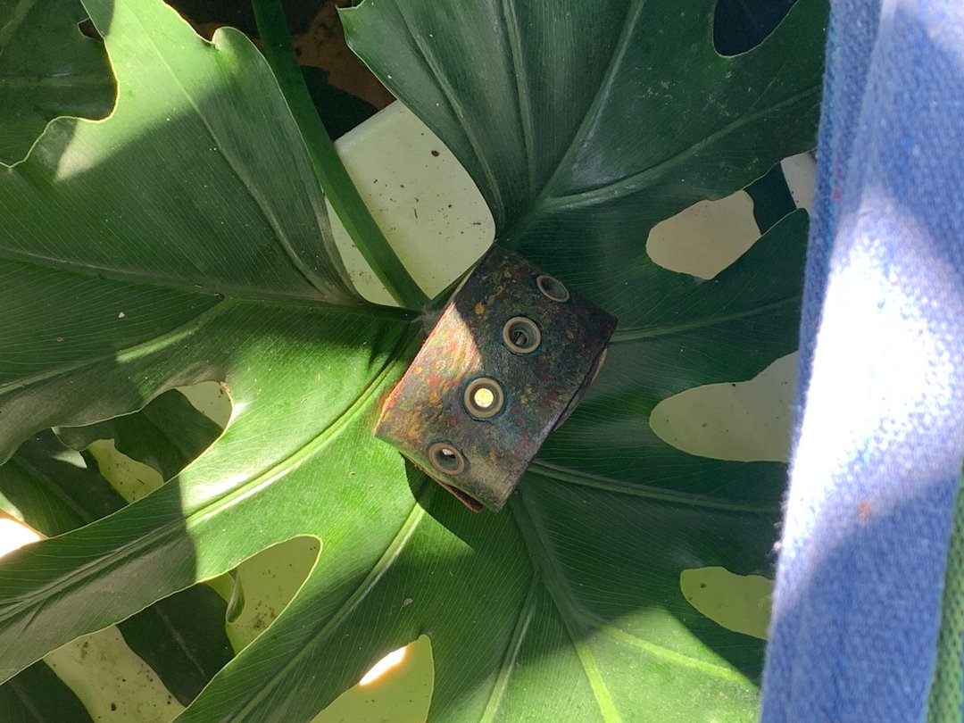 【梁絮皮艺】真皮 皮革手环/植鞣皮/牛皮/手工原创设计/Monstera - 手链/手环 - 真皮 绿色