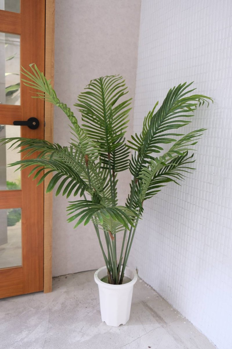 人造植栽/仿真椰子树/仿真植物/绿化/永不凋零 - 植栽/盆栽 - 塑料 绿色