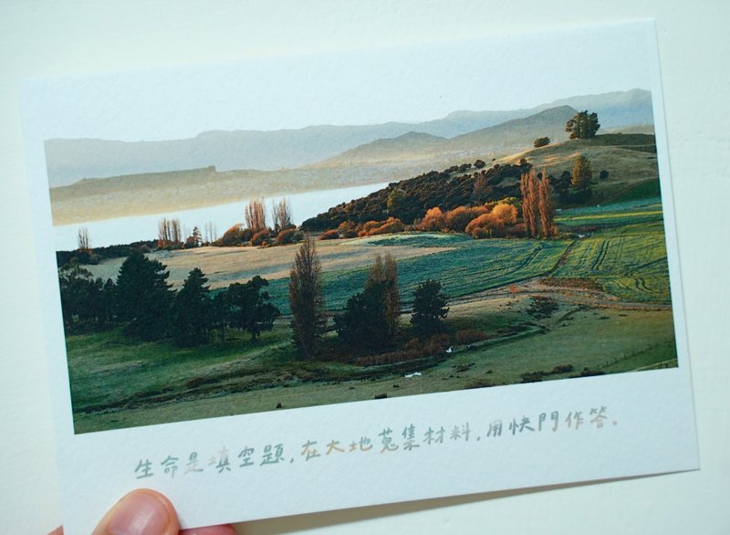 给拍照的人 /Magai's postcard - 卡片/明信片 - 纸 绿色