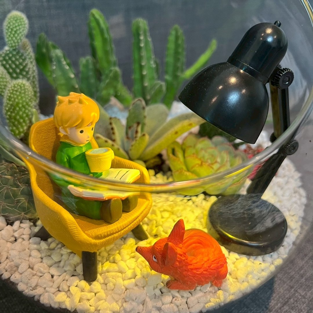 小王子 狐狸 阅读玻璃球 灯具 多肉组盆仙人掌 Le PetitPrince 送礼 - 植栽/盆栽 - 植物．花 绿色