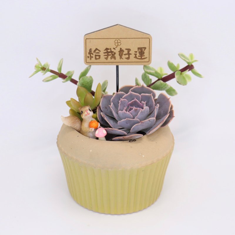 松鼠的小点心-多肉植物微景观蛋糕盆栽(附插式字牌) - 植栽/盆栽 - 瓷 黄色