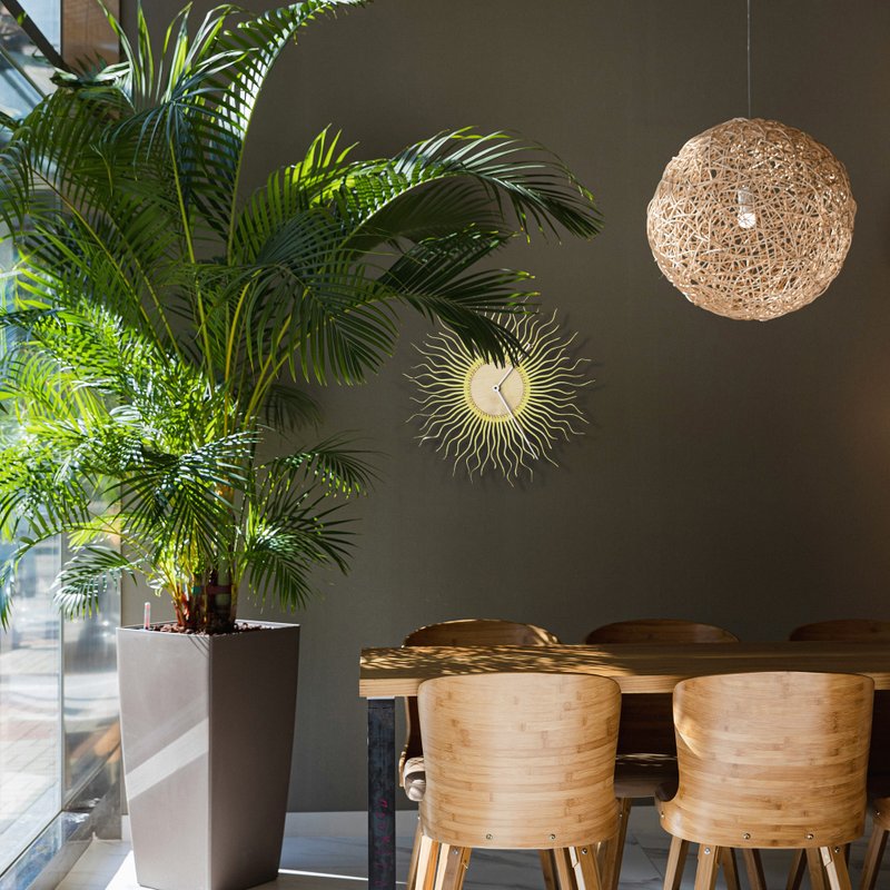 Shockhead - 优雅的现代旭日形挂钟金色墙壁装饰 - 时钟/闹钟 - 木头 金色