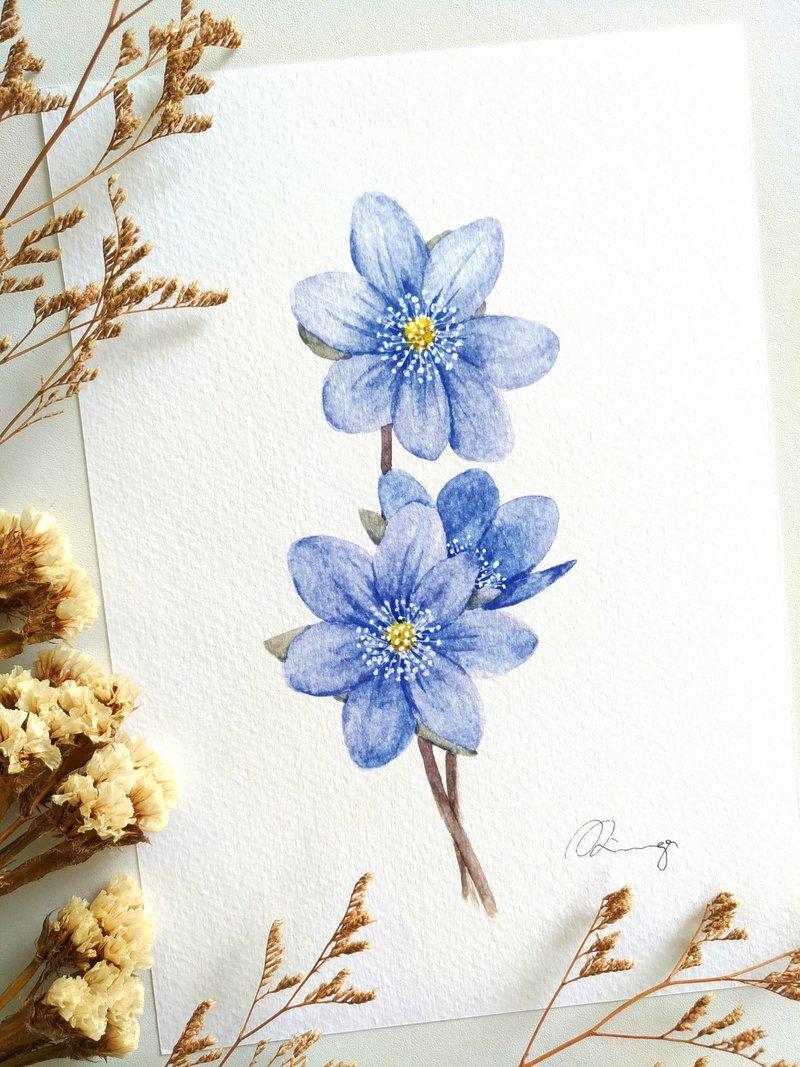 水彩紫花三角草 复制画 卡片 礼物 花草植物水彩画 - 海报/装饰画/版画 - 纸 蓝色