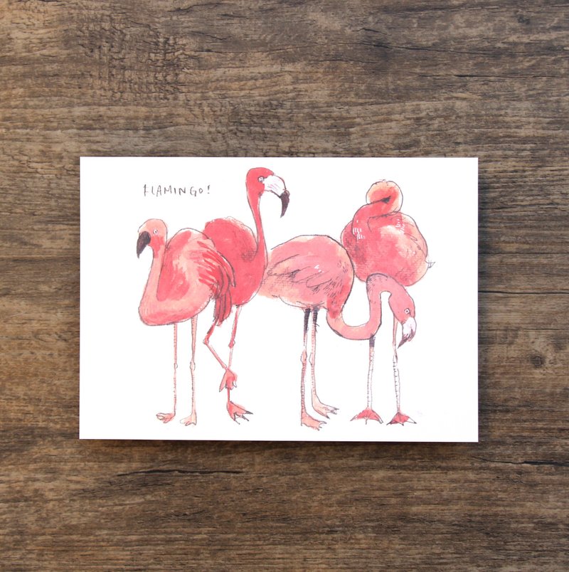 明信片 佛朗明哥鸟 - 卡片/明信片 - 纸 粉红色