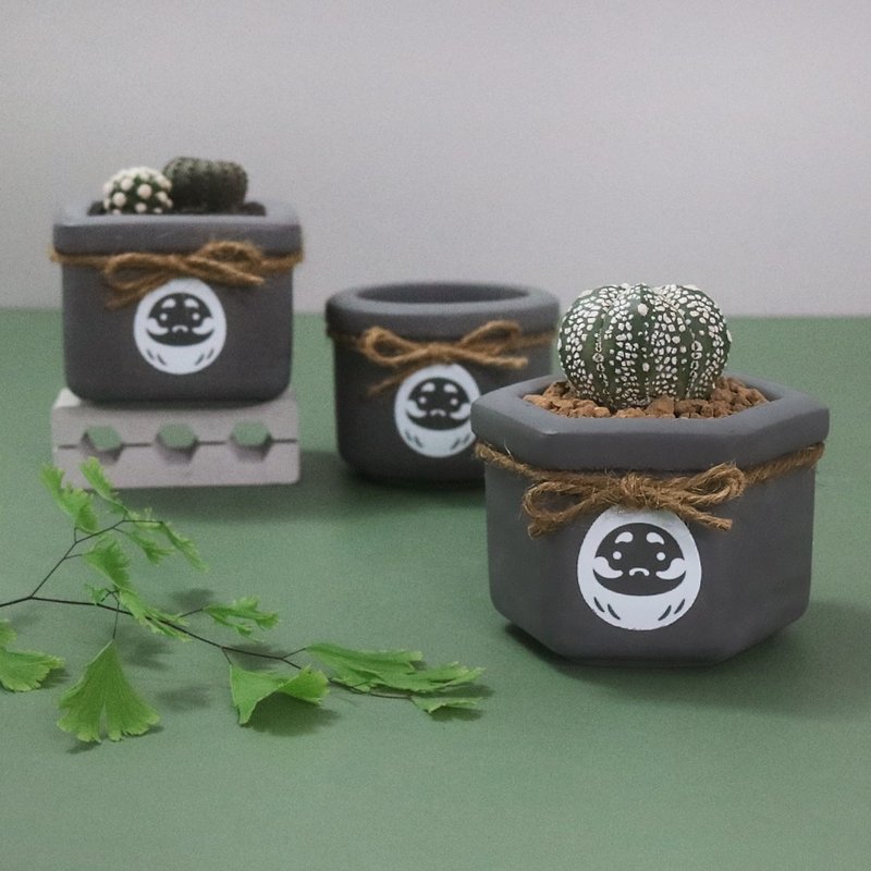 原创达摩黑愈泥盆【造型水泥盆】 - 植栽/盆栽 - 水泥 