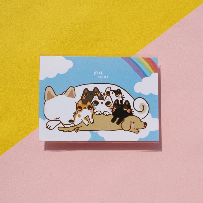 肉球/蓝天白云大集合/明信片/异色瞳白猫 - 卡片/明信片 - 纸 多色