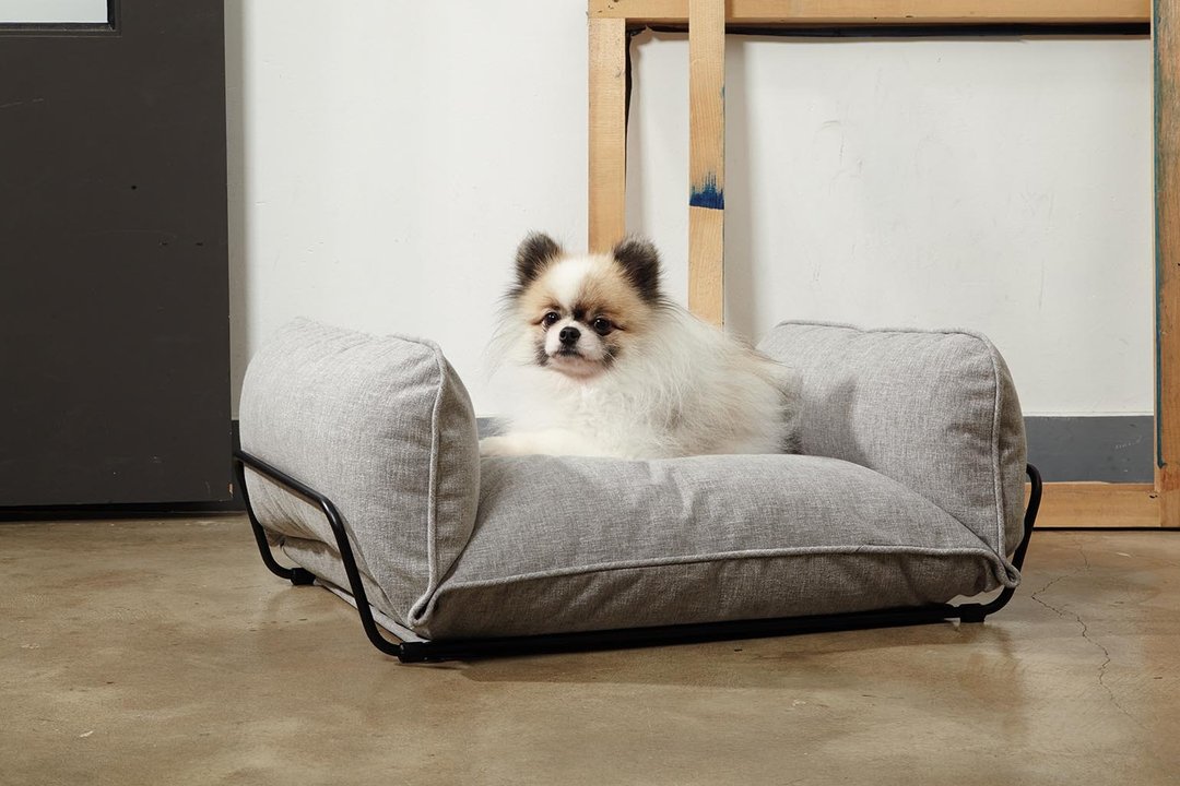 My Territory - Pet Bed  by Howlpot - 床垫/笼子 - 其他材质 多色