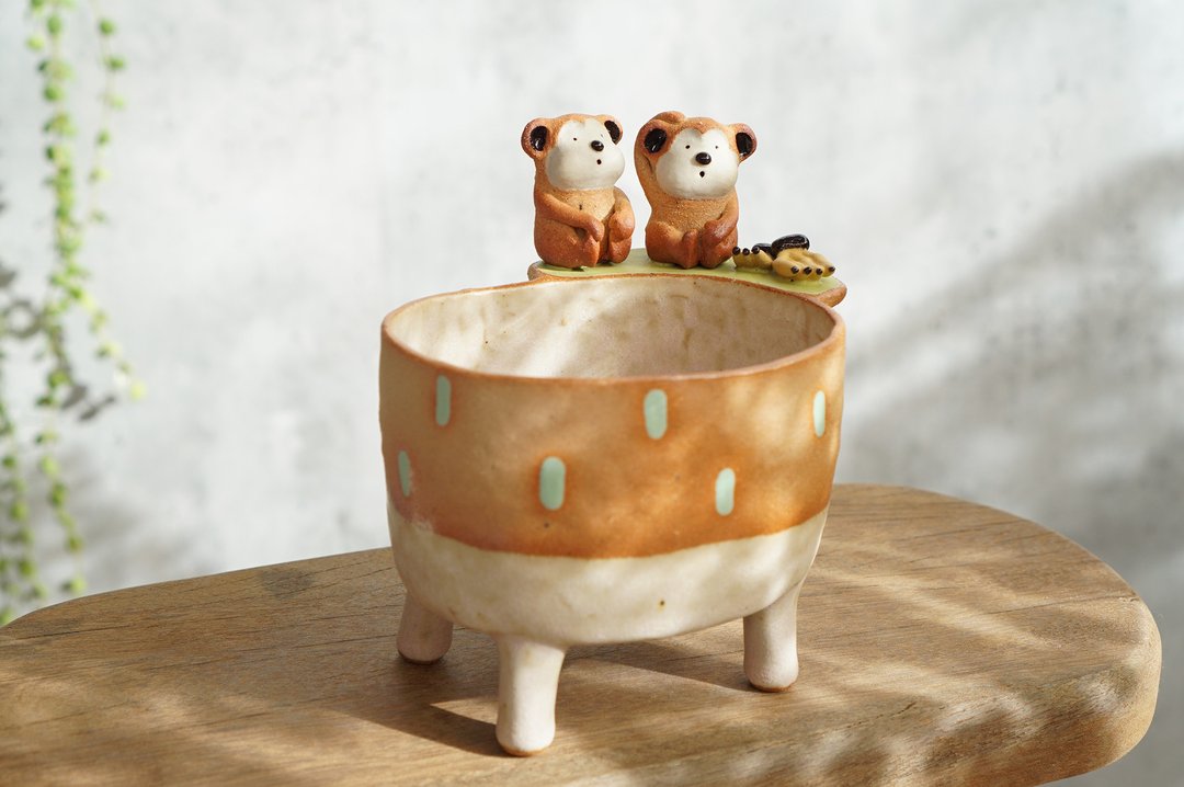 Plant pot with a monkey ,lithops,cactus,ceramics,pottery,handmade - 花瓶/陶器 - 陶 咖啡色