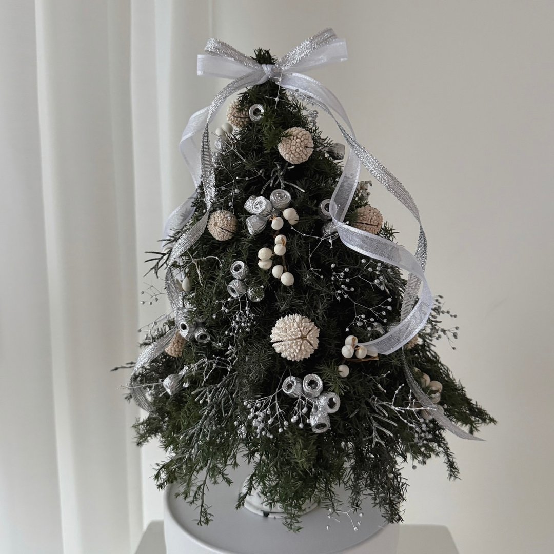 SEE 看见花艺设计|圣诞节|永生雪松 |圣诞树|月光之树雪松圣诞树 - 干燥花/捧花 - 植物．花 