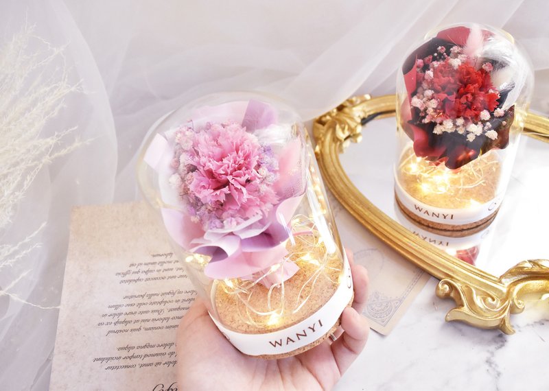 康乃馨玫瑰花束玻璃罩 康乃韾 永生花 干燥花 夜灯 母亲节礼盒圣 - 干燥花/捧花 - 植物．花 粉红色