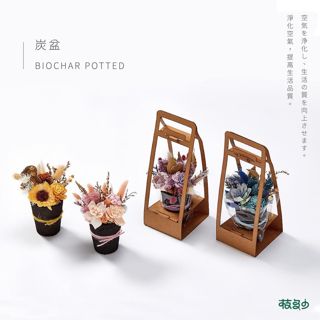 枝多少永生花炭盆栽 - 植栽/盆栽 - 环保材料 