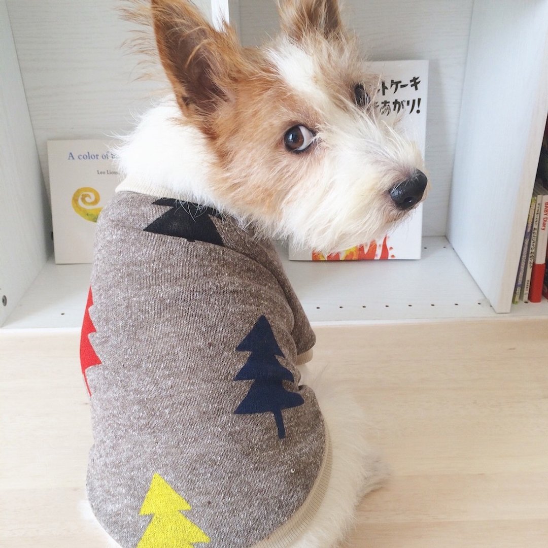 Dog Clothes "Tree" Hand Painted Brown S - 衣/帽 - 其他材质 咖啡色