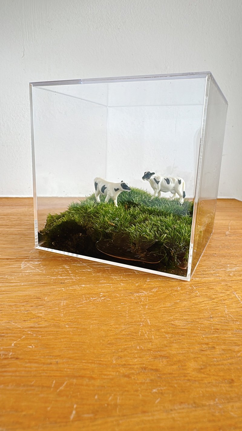 纯自然 草原上的动物 苔藓 乳牛 狗 猫 压克力盒 微景观 animal - 植栽/盆栽 - 植物．花 绿色