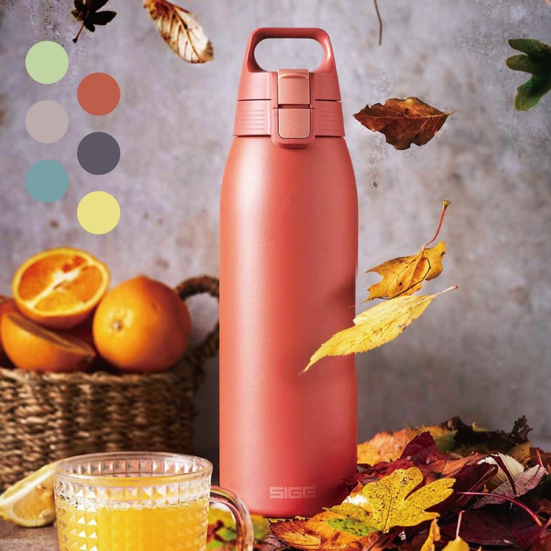 瑞士百年 SIGG Shield 超轻量弹盖保温/保冷两用瓶 1000ml - 保温瓶/保温杯 - 不锈钢 多色