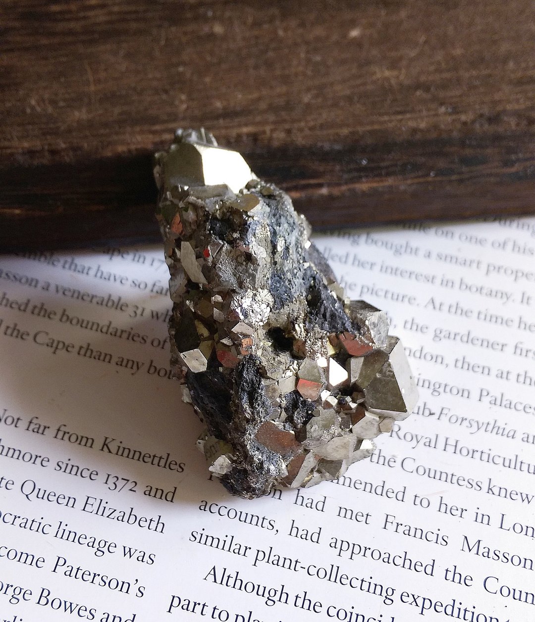 Pyrite 秘鲁产地 黄铁矿 方铅矿共生矿 愚人金 天然矿石 原矿 - 摆饰 - 其他材质 