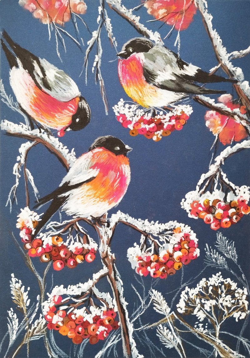 绘画 冬季鸟类 红腹灰雀 油画棒艺术绘画 动物绘画图形 - 墙贴/壁贴 - 纸 