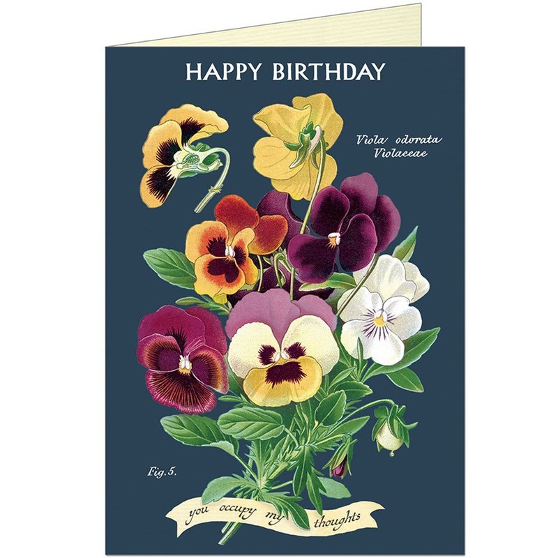 Cavallini & Co.  GREETING CARD 生日卡(大)_香堇菜 - 卡片/明信片 - 纸 多色