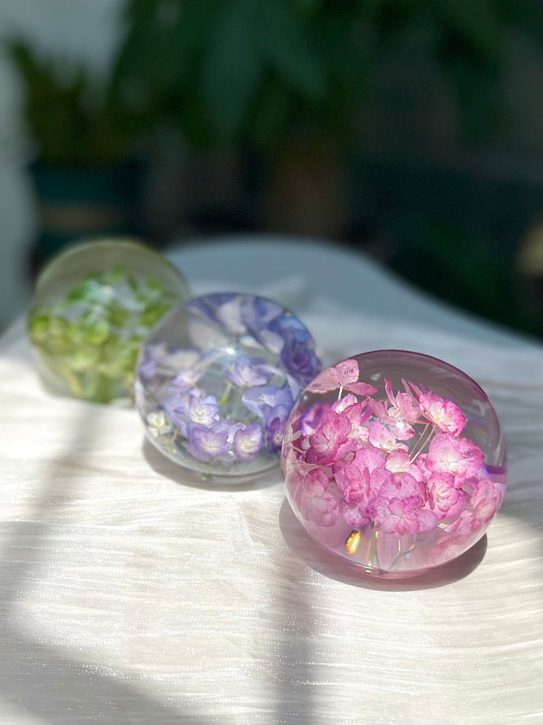 天然真花绣球标本水晶球 植物礼品 装饰摆件 - 干燥花/捧花 - 植物．花 