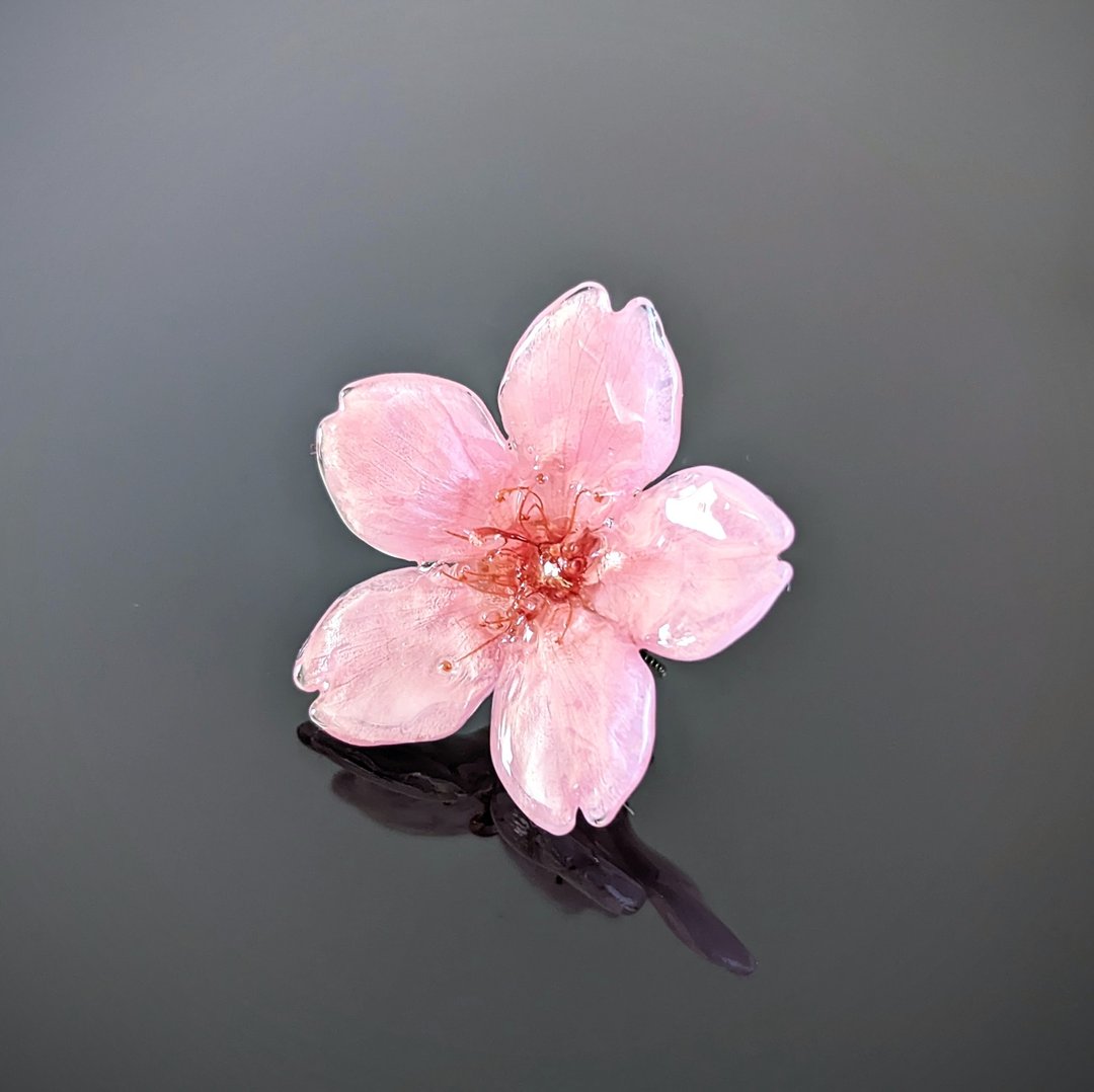 Early Bloom 永生花  真花 早开的樱花 胸针 别针 - 胸针 - 树脂 粉红色