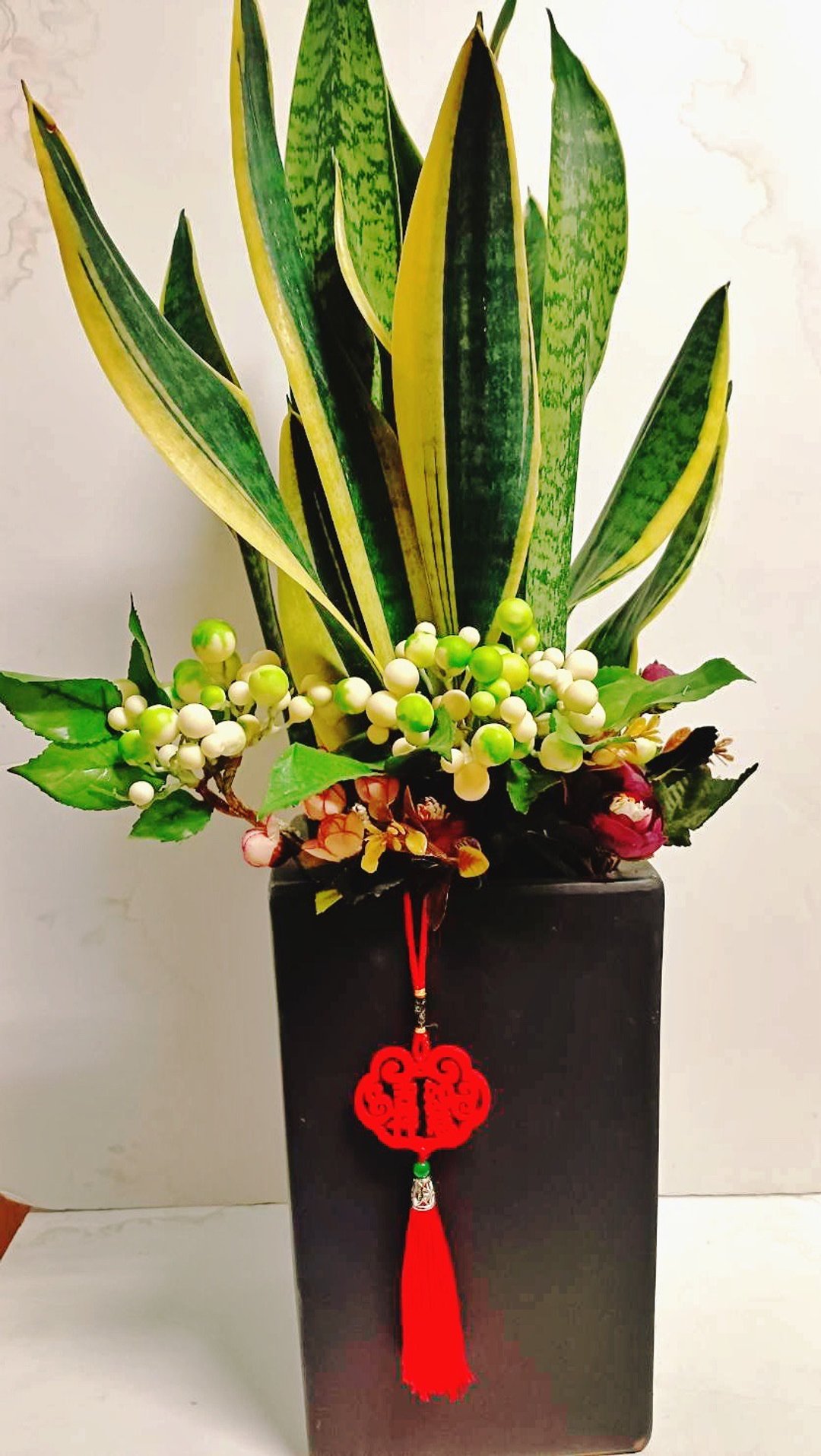 开幕送礼首选 虎尾兰组合盆栽 植物空气清净机 避邪招财 - 植栽/盆栽 - 陶 