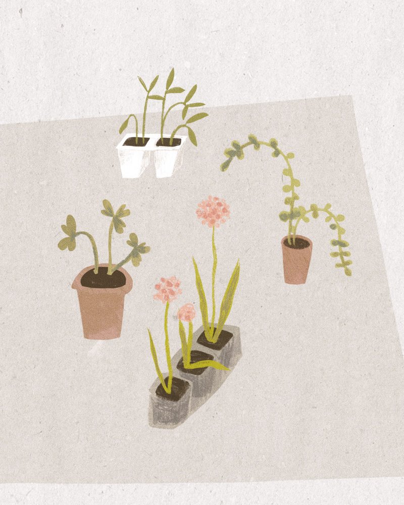 assorted a5 art-grade prints - grow, joy, friend - 卡片/明信片 - 纸 