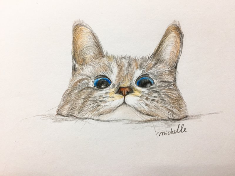 色铅笔绘画 宠物插画(含插画本)-手作课程 - 插画/绘画/写字 - 纸 