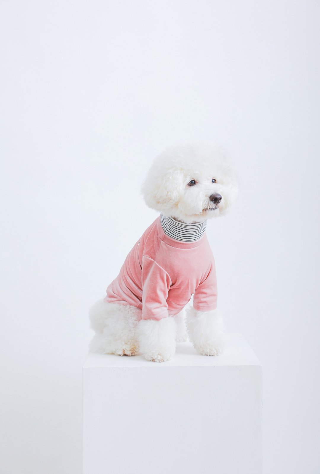 时尚宠物 | 丝绒 + 横间小樽领 Tee | 粉红色 | pat a pet - 衣/帽 - 其他材质 粉红色
