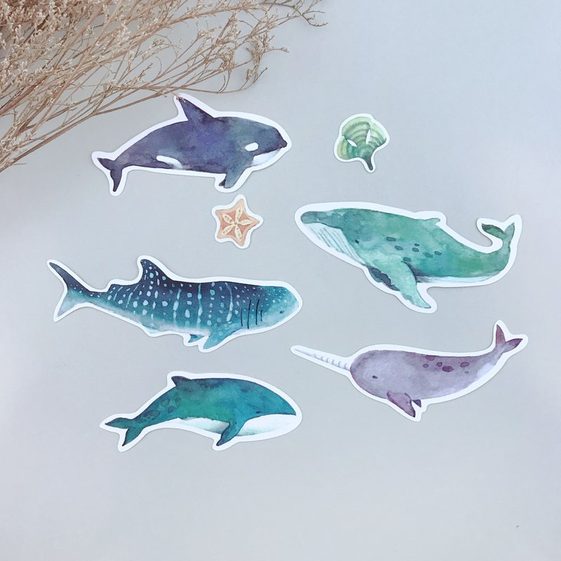 | 微光Ocean | 鲸鱼贴纸包 - 贴纸 - 纸 