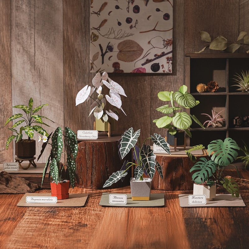纸植栽模型【DIY材料包】青苹果竹芋.龟背芋.草莓之星.银点秋海棠 - 木工/竹艺/纸艺 - 纸 绿色