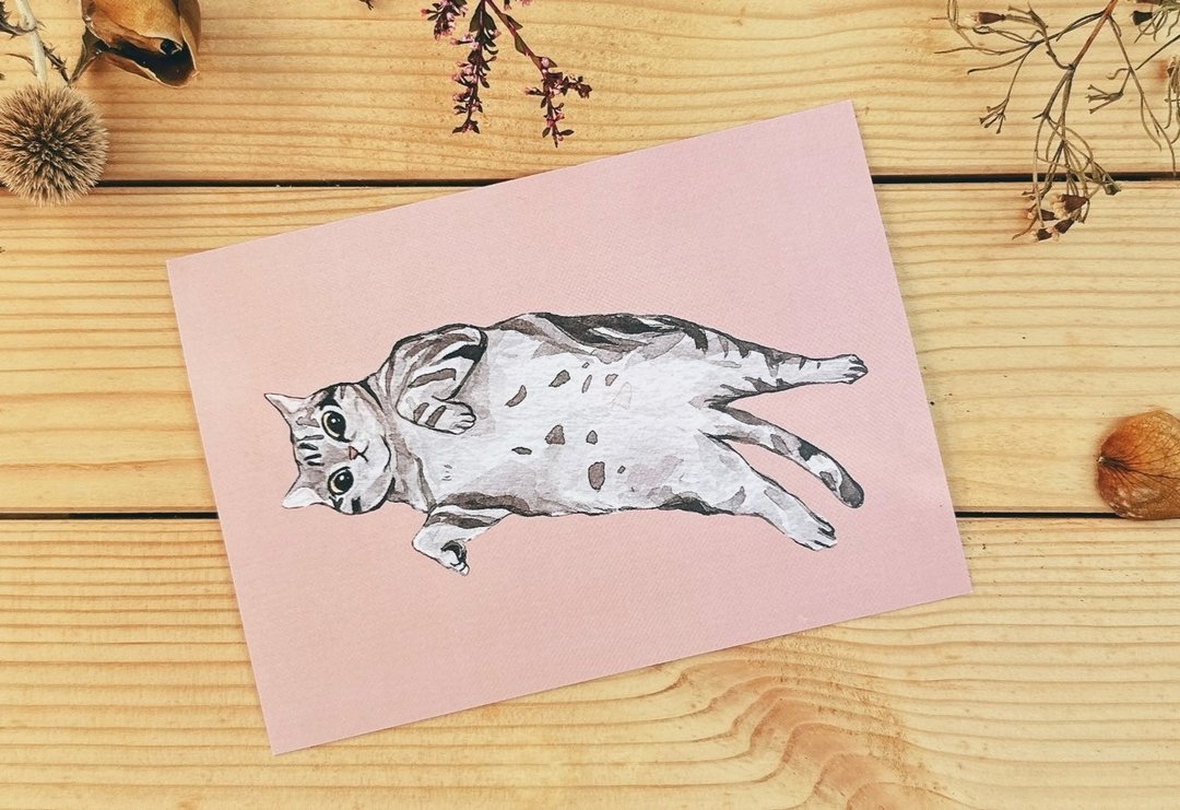 猫明信片 就是美短 - 卡片/明信片 - 纸 粉红色