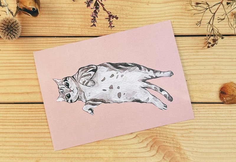 猫明信片 就是美短 - 卡片/明信片 - 纸 粉红色