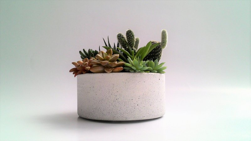 【中浅圆盆】水泥花器/水泥盆栽/水泥植栽(不含植物) - 植栽/盆栽 - 水泥 白色