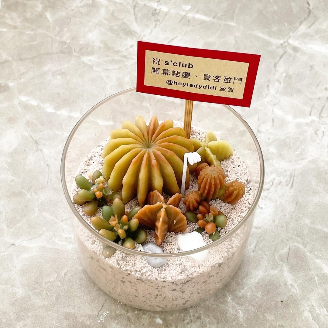多肉仙人掌祝贺盆栽蜡烛 - 蜡烛/烛台 - 蜡 多色