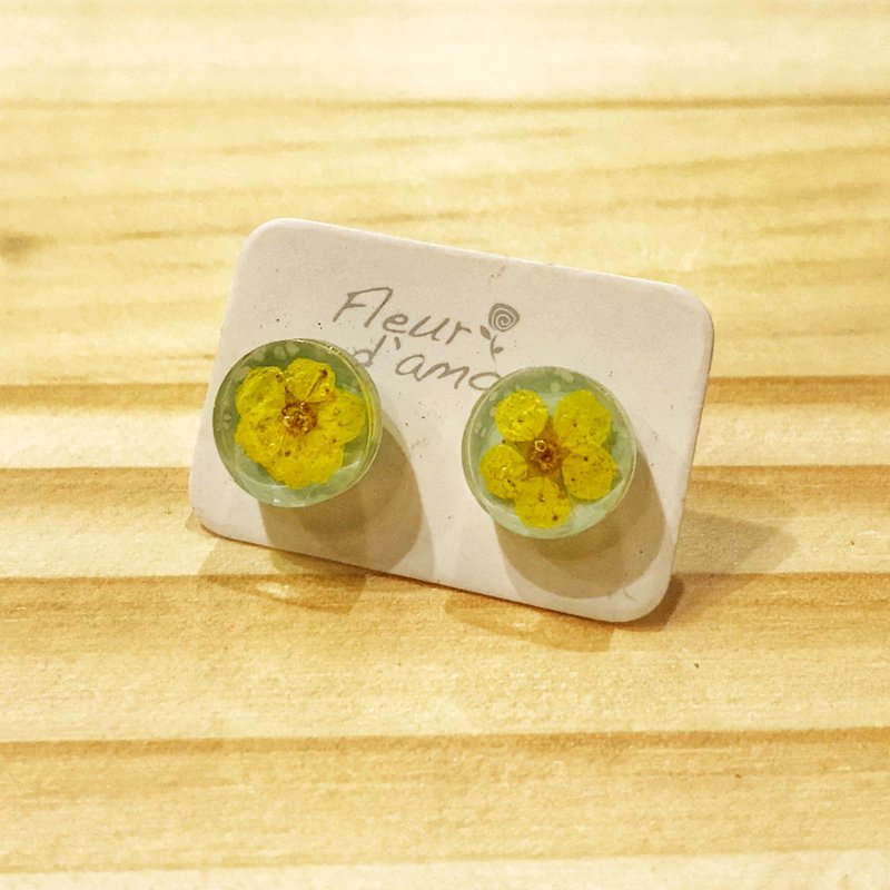 糖果色系 真花黄色小手球花配果绿底色 医疗钢耳针 耳环耳钉 - 耳环/耳夹 - 植物．花 黄色
